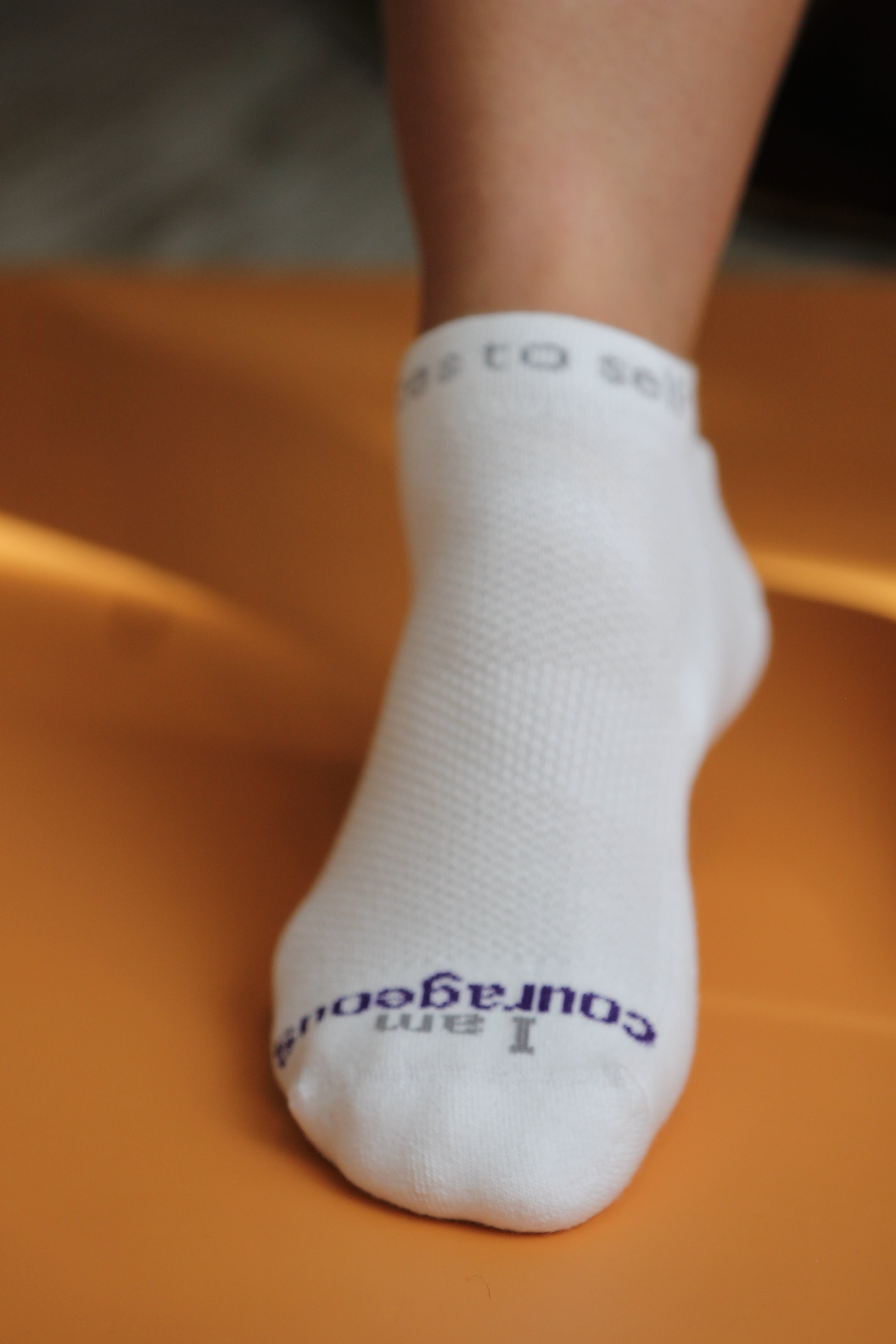 I am Courageous Socks